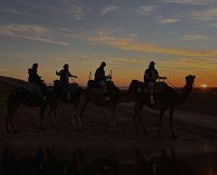 Exclusive Adventure & Relaxation Day in Marrakech