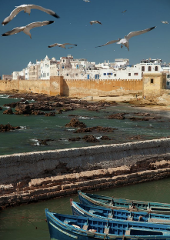 Private Essaouira Day Trip from Marrakech