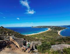Manly and Northern Beaches Clifftop Explorer