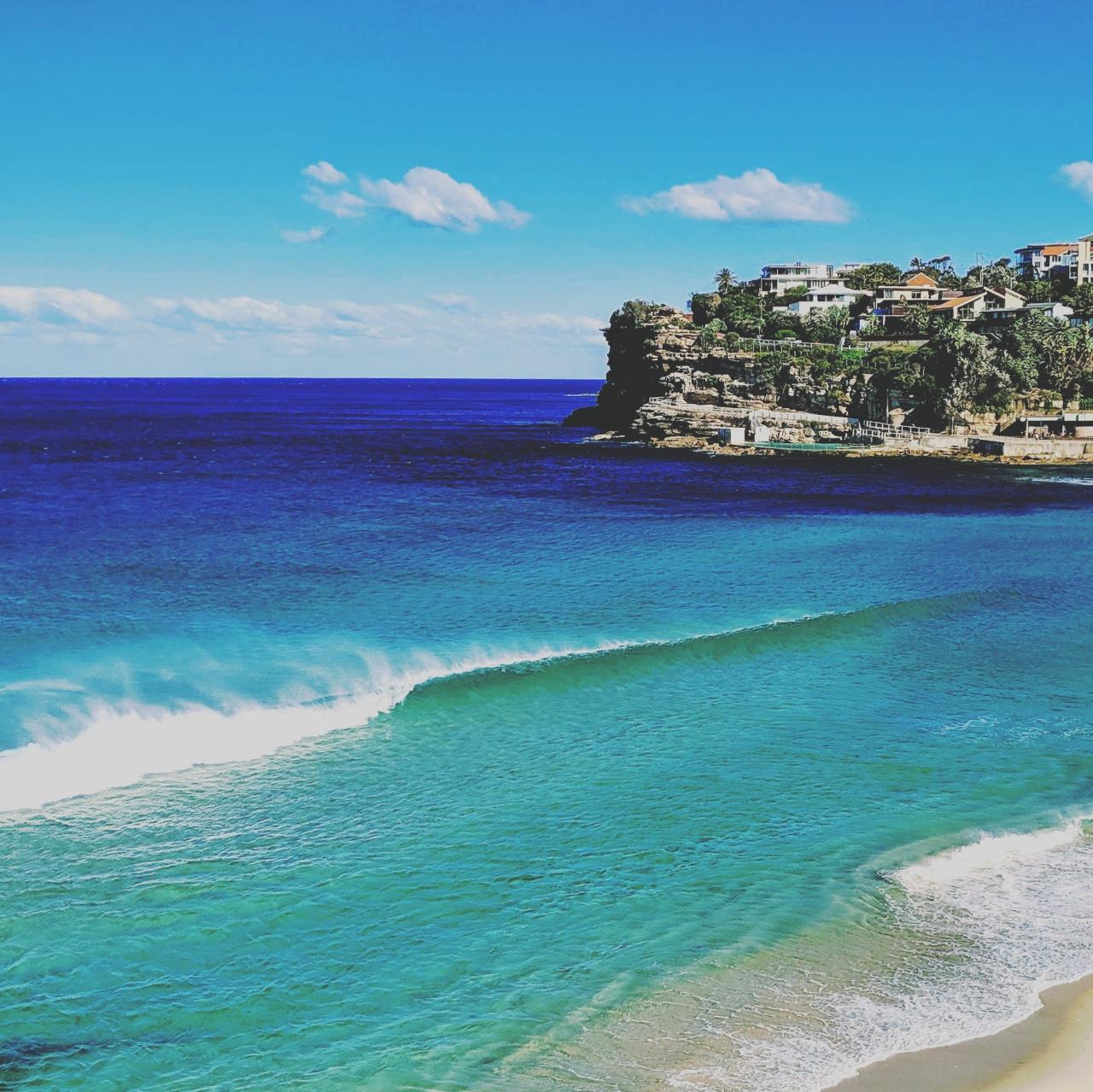 Sydney Shores and Suburban Discovery - Watsons Bay and Bondi Beach Tour