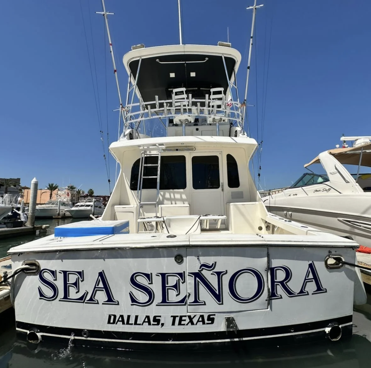 SEA SEÑORA 42' POST - HALF DAY LUXURY CHARTER