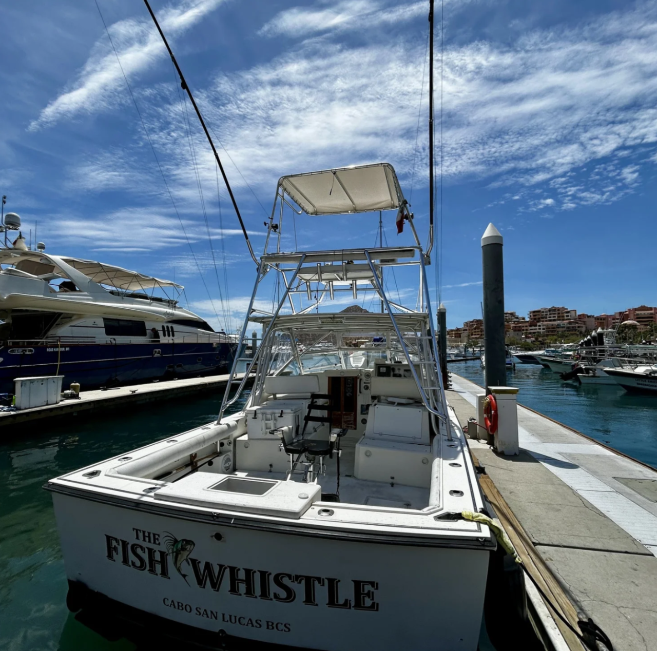 FISH WHISTLE 35' BLACK WATCH - HALF DAY SPORTFISHING CHARTER