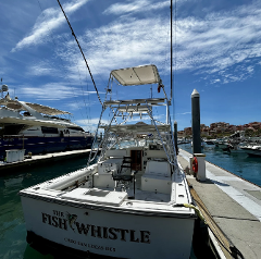 FISH WHISTLE 35' BLACK WATCH - HALF DAY SPORTFISHING CHARTER