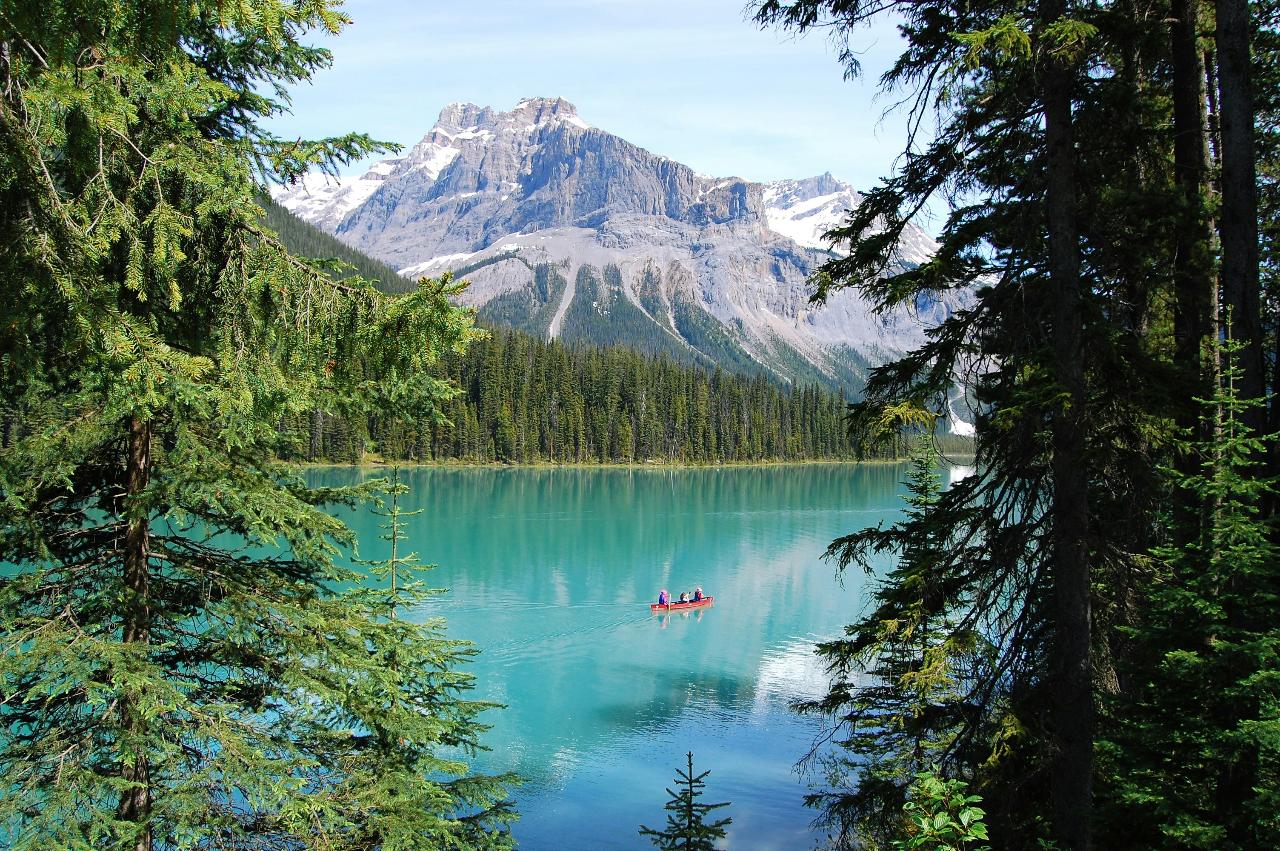 JET 1-Day Tour | Johnston Canyon, Emerald Lake & Takakkaw Falls
