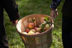 Fruit U-Pick & Crab Catching