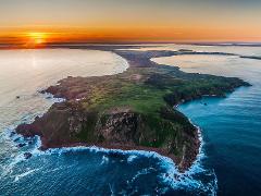 Phillip Island: Penguins & Peninsula Flavours (6–10 Pax)