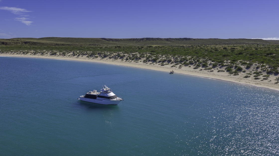 Dampier Archipelago Island and Wildlife Tour 