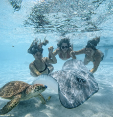Safari & Snorkling Tour Combo