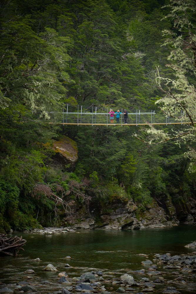 Paradise Day Walks - Shared