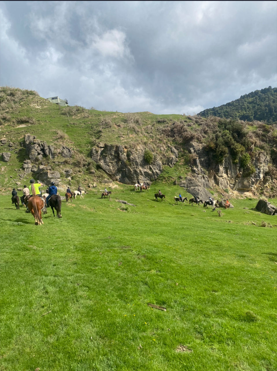 Horse Trek (1hr and 1.5hr options available)