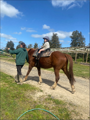 Lead Pony 