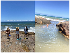 Deepwater National Park