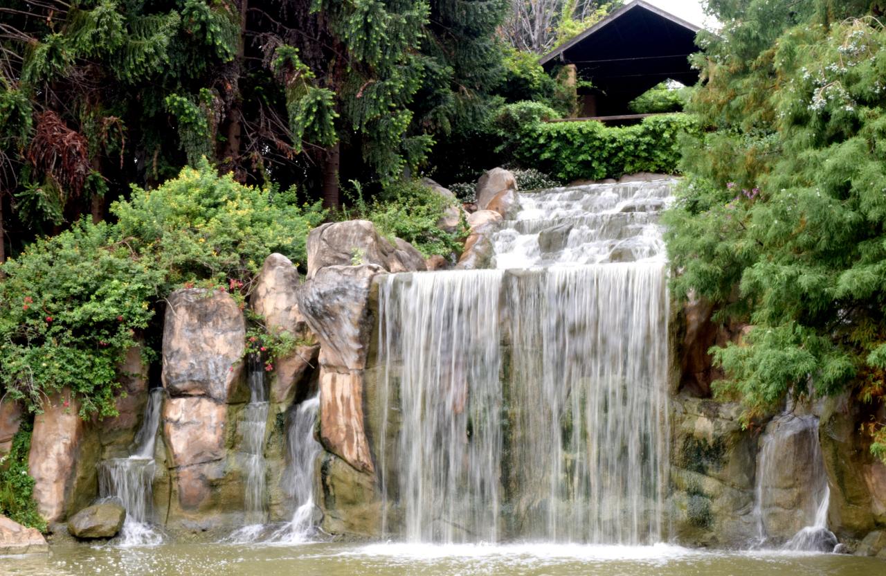 Hunter Valley Gardens and Lunch Tour