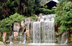 Hunter Valley Gardens and Lunch Tour