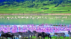Ngorongoro Crater Day Trip