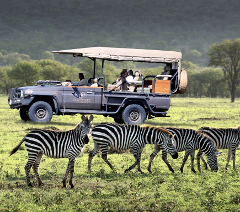 3-Day Tarangire, Ngorongoro & Lake Eyasi Joining Group Safari