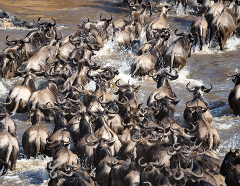 3-Day Tarangire, Ngorongoro & Lake Manyara Joining Group Safari