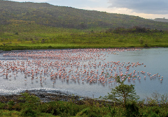 Arusha National Park Day Trip