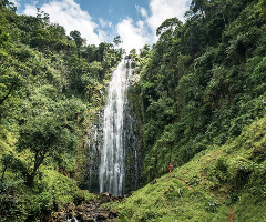 Materuni Waterfalls, Coffee & Banana Tour (Full Day)