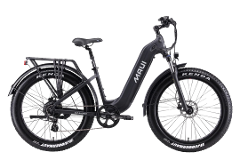 1 HR - Electric City Bike Step-Thru With Oversized Tires
