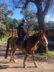 Horse Riding GIFT CARD