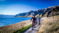 The Ultimate Wānaka Experience - John Creek | Lake Hāwea | Wānaka Lakeside Trail Incl. Shuttle - Regular MTB with option to upgrade to e-Bike