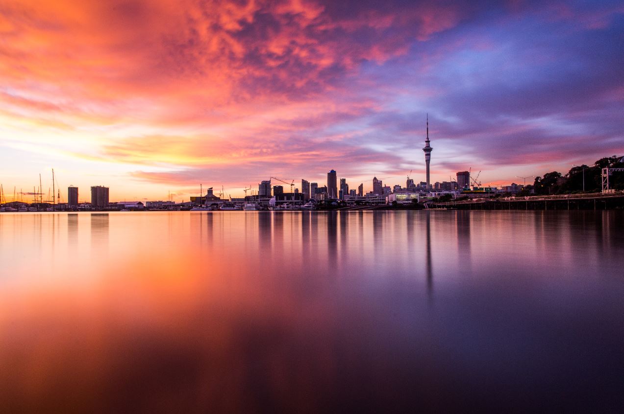 Sunset Harbour Cruise - Private Charter - Auckland Whale & Dolphin