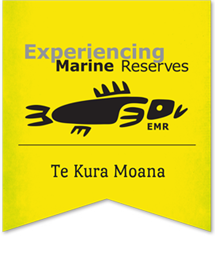 Marine Mammal Eco-Safari - Experiencing Marine Reserves Fundraiser