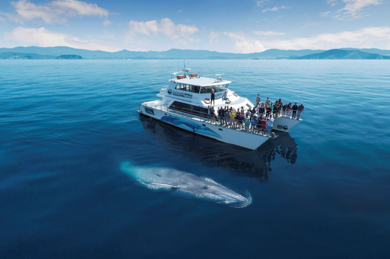 Wildlife Cruise - Private Charter
