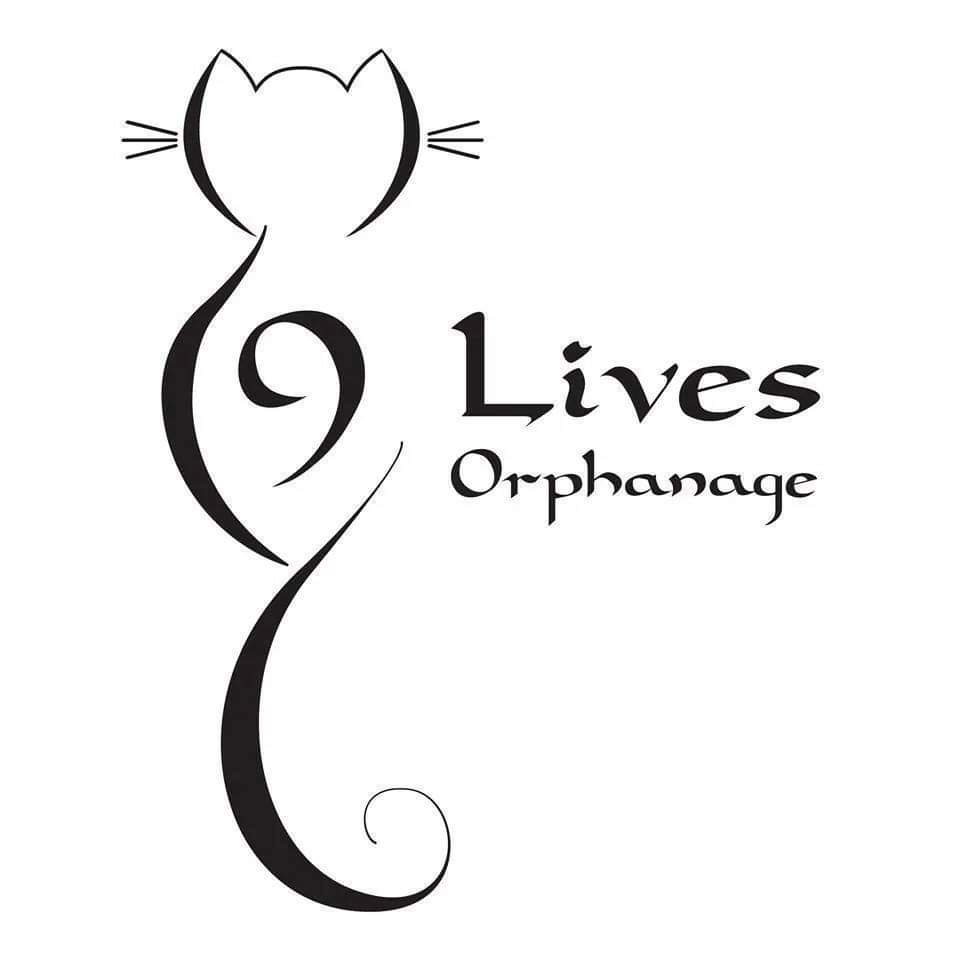 Marine Mammal Eco-Safari - 9 Lives Orphanage Fundraiser