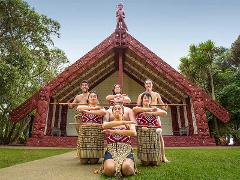 10-Day Ultimate Custom North Island Private Tour