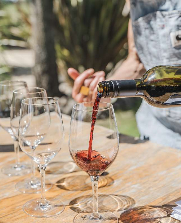 Scotty B Tours: Waipara Wine Tastings (Private Tour) — Waipara Valley