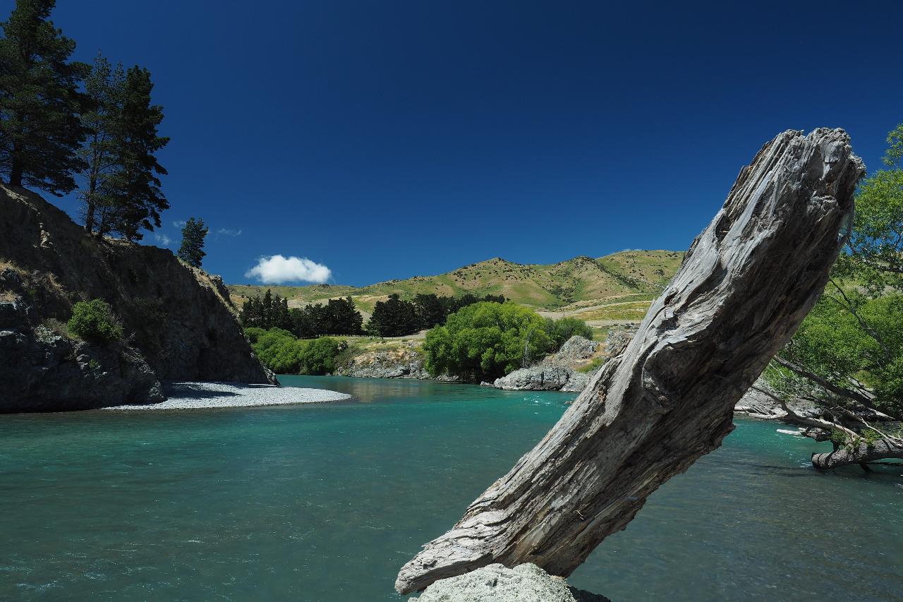 Scotty B Tours: River Jet Boat and Winery Lunch — Canterbury - Photo 3