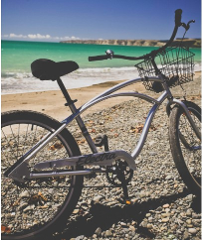 Hawke's Bay Day - Bike Hire