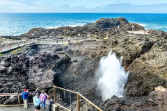 Escape Sydney: Sea Cliff Bridge, Kiama Blowhole, Wild Kangaroos & Wombats.
