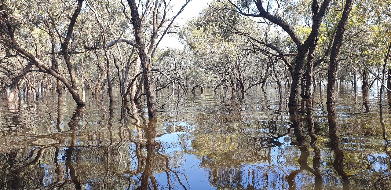 Outback Lakes Expedition 