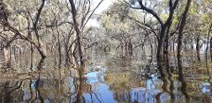 Outback Lakes Expedition 
