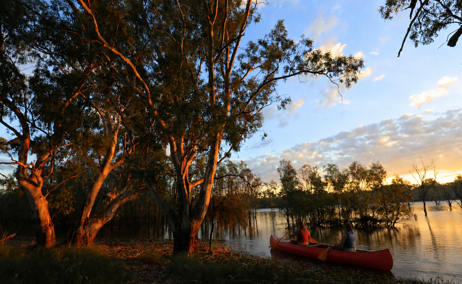 Twilight Paddle & Campfire Dinner Experience