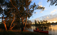 Twilight Paddle & Campfire Dinner Experience