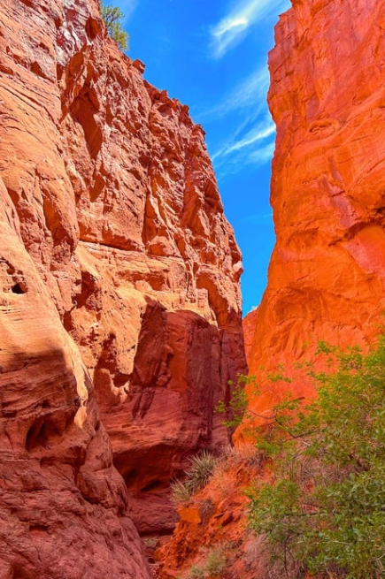 Indigenous Guided Museum & Trail Tour 