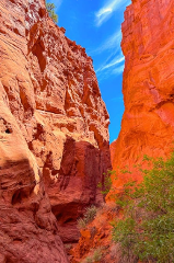 Indigenous Guided Museum & Trail Tour 