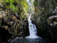 Rosewood Canyon