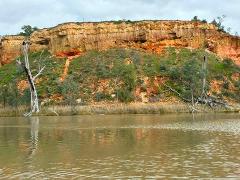 Berri 3-hour private morning Tinny Tour