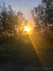 Berri sunrise 2-hour private Tinny Tour