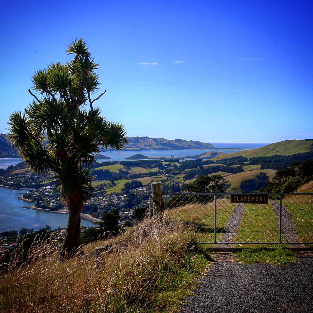 Peninsula Perfection