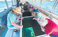 Great Keppel Island Glass Bottom Boat Tour & Transfers