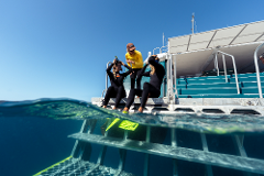 Full Day Adventure Cruise