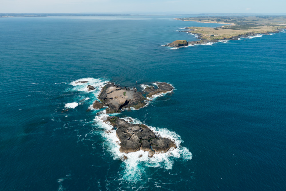 Scenic Flight 3 - Seal Rocks, Penguins & The GP Circuit