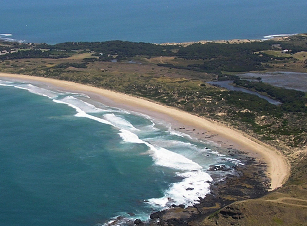 Scenic Flight 3 - Seal Rocks, Penguins & The GP Circuit