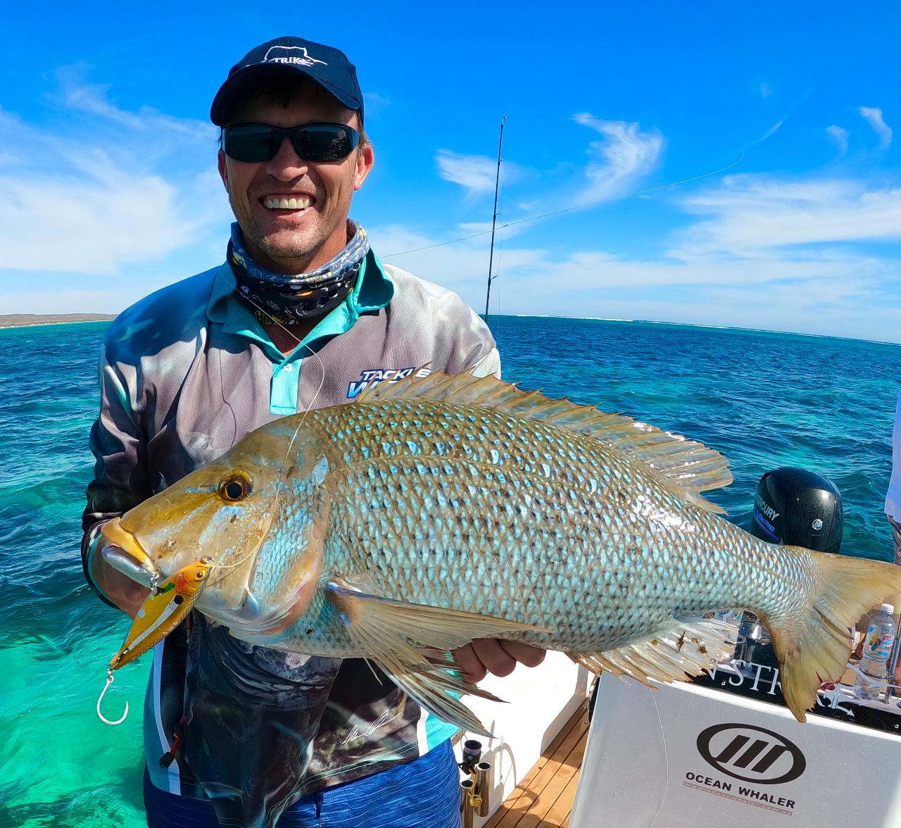 Exclusive - 20ft Inshore Reef Fishing - Full Day Charter